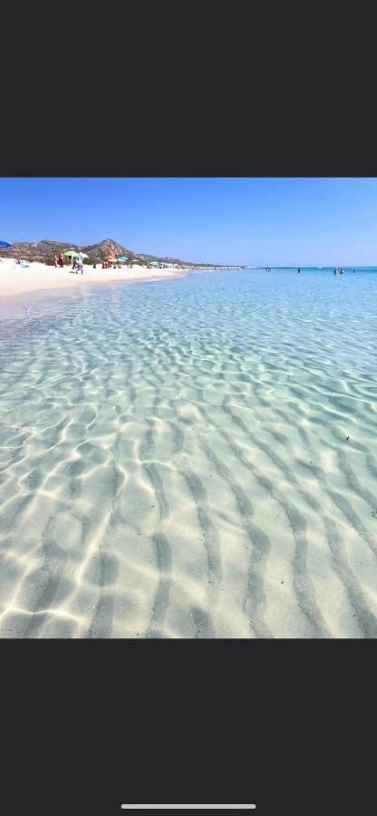 Le Residenze Del Mare Monolocale N2 Lejlighed La Caletta Eksteriør billede
